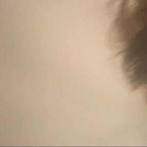 2 handbags black and gray